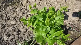 K800_Frühling 048.webp