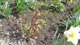 K800_Frühling 052.webp