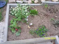 100_2373.webp
