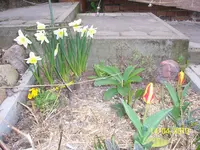 100_2374.webp