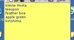 Notiz.webp