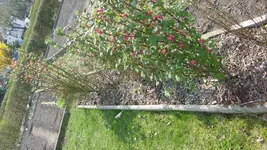 13.April 2010 (43).webp