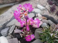 15..04.2010 003.webp
