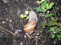 15..04.2010 014.webp