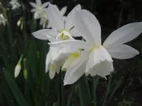 15..04.2010 015.webp