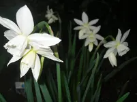 15..04.2010 016.webp