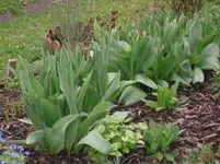 15..04.2010 025.webp