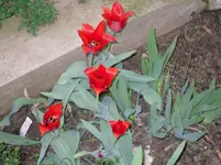 15..04.2010 027.webp