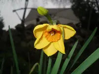 15..04.2010 030.webp