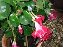 15..04.2010 033.webp
