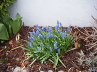 DSCF6540.webp