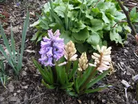 DSCF6542.webp
