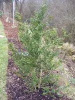 DSCF6545.webp
