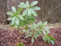 DSCF6546.webp