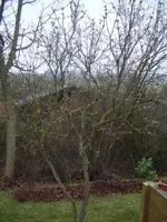 DSCF6549.webp
