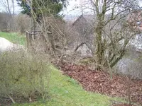 DSCF6550.webp