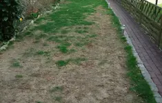 2010_0415rasen0003.webp