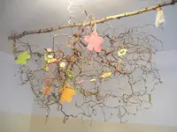 DSCF6553.webp
