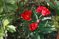 DSC02564.webp