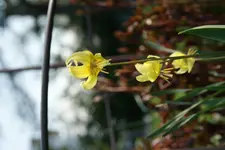 DSC02565.webp