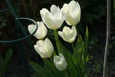 DSC02566.webp