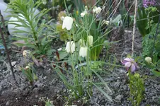 DSC02567.webp