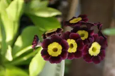 DSC02570.webp