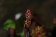 DSC_4816.webp