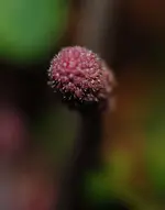 DSC_4814.webp