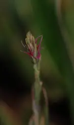 DSC_4823.webp