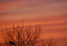 DSC_4831.webp