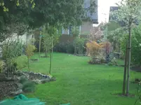 CIMG2417.webp