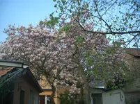 CIMG2405.webp