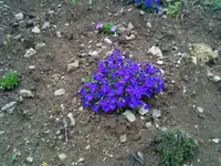 Foto.webp