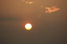 Morgensonne (6).webp