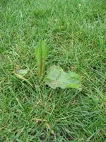 IMG_4993.webp