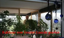 Kalthaus vom Wohnzimmer aus.webp