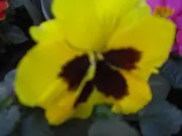 CIMG8947.webp
