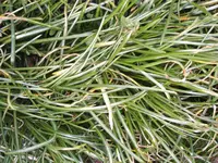 DSCF0218.webp