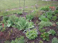 16-04-2010 006.webp