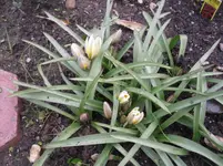 16-04-2010 009.webp