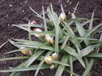 16-04-2010 010.webp