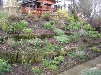 16-04-2010 017.webp