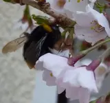 P1030248.webp