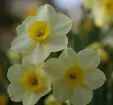 DSC_4839.webp