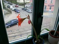 Bild 041.webp