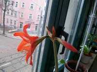 Bild 042.webp