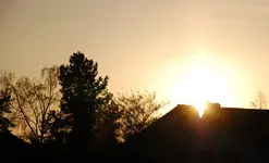 DSC_4856.webp