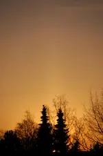 DSC_4866.webp