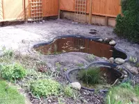 Teich4.webp
